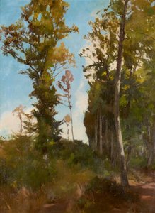 Forest Clearing near Purkersdorf