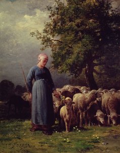The Missing Flock