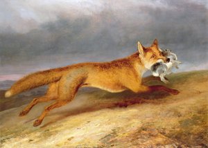 Fox Making Off with a Rabbit