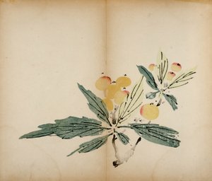 Ten Bamboo Studio Prints