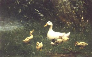 Ducks