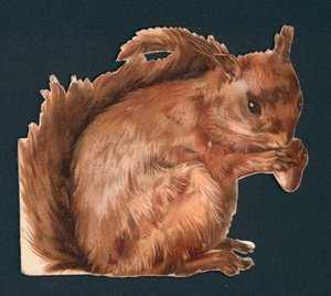 Red Squirrel, Victorian Scrap
