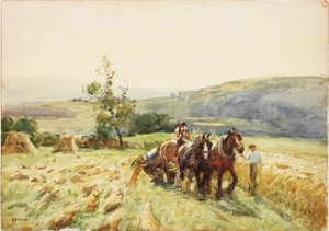 Harvest Time