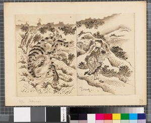 Scenes from the War Between Japan and Korea, End of 18th-First Half of 19th Century
