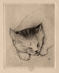 Six Etchings: Head of a Kitten