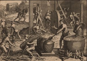 Slaves Process Sugar Cane and Make Sugar