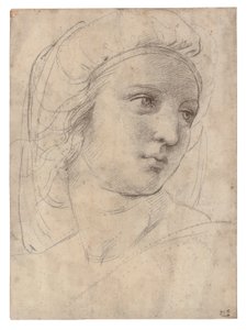Head of a Muse