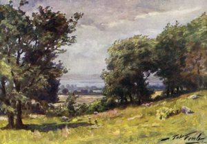 Windy Day, near Llanrug