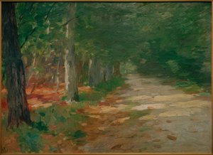 Forest Path with Sunspots