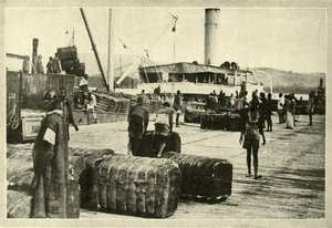 Loading a Cargo of Cotton, c1948