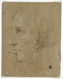 Profile of Male Head to Left