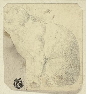 Seated Cat in Profile